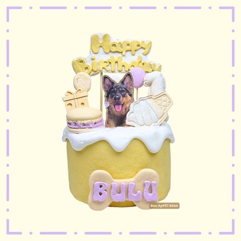 BÁNH FONDANT MẪU 9