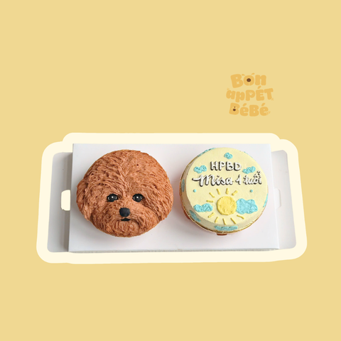 CUPCAKE MẪU VẼ 2