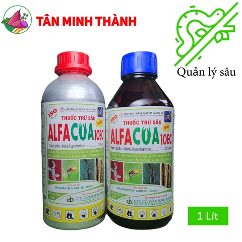 Alfacua 10EC - Thuốc đặc trị rệp sáp, sùng khoai lang, sâu khoang, sâu đục bẹ, bọ xít muỗi, muỗi hành
