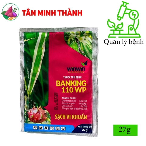 Banking 110WP - Thuốc đặc trị vi khuẩn bệnh chết nhanh, héo xanh, thán thư