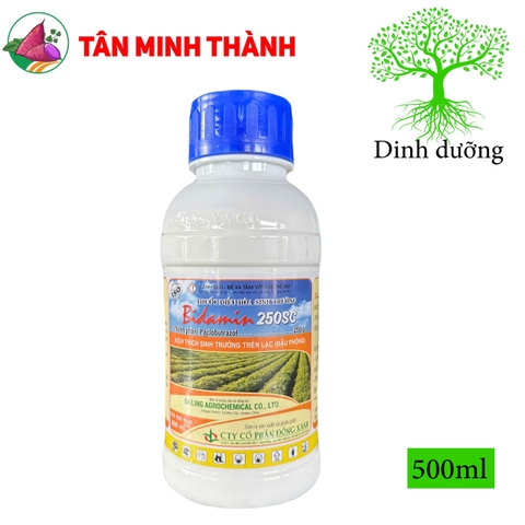 Bidamin 250SC - Thuốc kích ra hoa, cứng cây, thấp cây