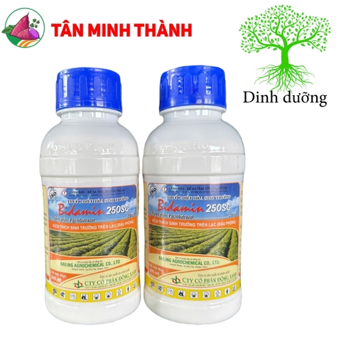 Bidamin 250SC - Thuốc kích ra hoa, cứng cây, thấp cây