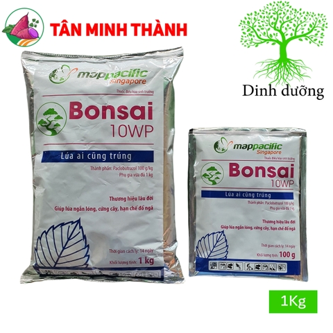 Bonsai 10WP - Thuốc kích thích ra hoa đồng loạt, đậu trái nghịch mùa, cứng cây, chống đỗ ngã