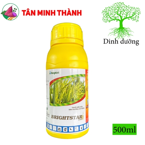 Brightstar 25SC - Thuốc cứng cây, ngắn lóng, phân hóa mầm hoa