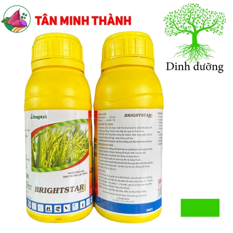 Brightstar 25SC - Thuốc cứng cây, ngắn lóng, phân hóa mầm hoa