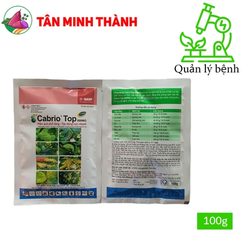 Cabrio Top 600wg - Thuốc đặc trị sương mai, giả sương mai, thán thư, rỉ sắt, ghẻ sẹo