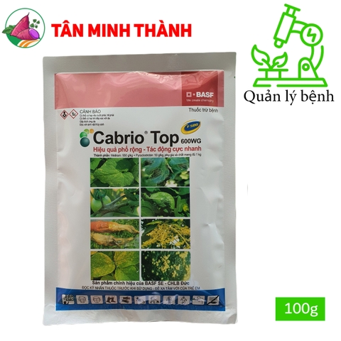 Cabrio Top 600wg - Thuốc đặc trị sương mai, giả sương mai, thán thư, rỉ sắt, ghẻ sẹo