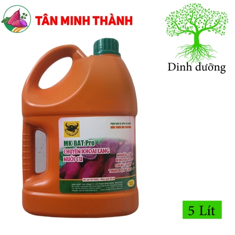 Chuyên Khoai Lang Nuôi Củ - Thuốc giúp to củ khoai lang, chắc thịt, nặng ký, lớn củ, tinh bột cao