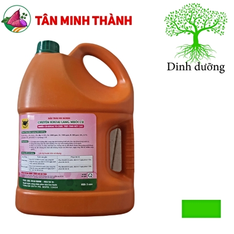 Chuyên Khoai Lang Nuôi Củ - Thuốc giúp to củ khoai lang, chắc thịt, nặng ký, lớn củ, tinh bột cao