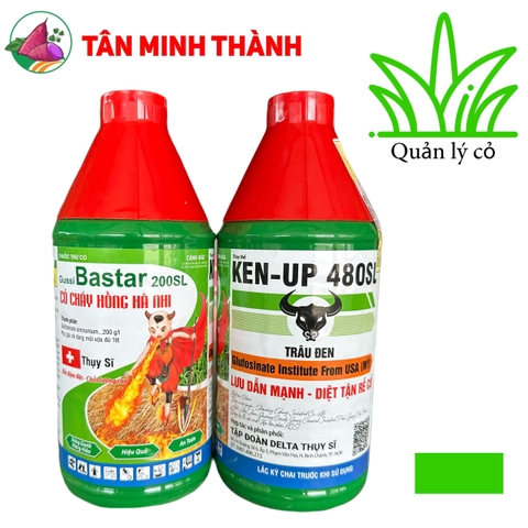 Cỏ Cháy Hồng Hà Nhi - Bastar - Kenup - Thuốc cỏ lưu dẫn mạnh