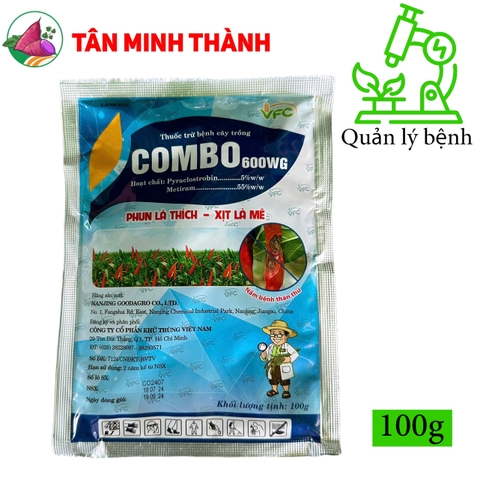 Combo 600WG - Thuốc đặc trị thán thư, chết cây con