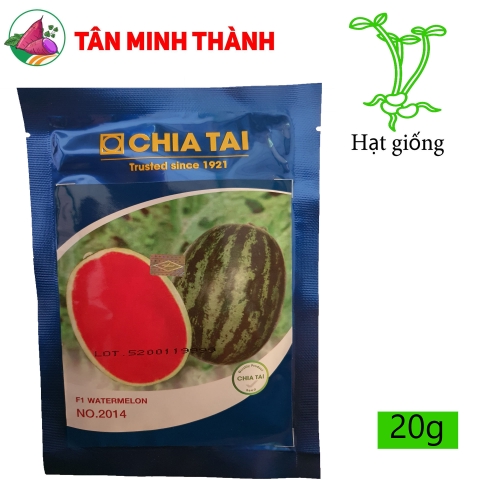 Dưa Hấu F1 2014 - Hạt giống CHIA TAI