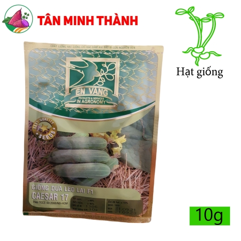 Dưa Leo CAESAR 17 - Hạt giống Én Vàng