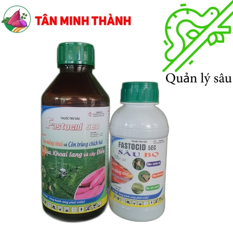 Fastocid 5EC - Thuốc đặc trị sùng khoai lang, bọ nhảy, sâu đục củ, bọ hà, dế trũi, bọ xít, sâu khoang, sâu cuốn lá