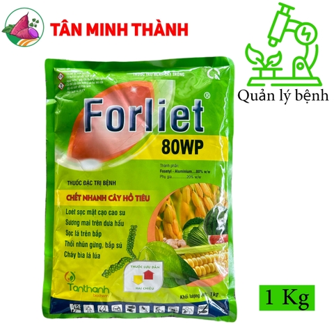 Forliet 80WP - Thuốc trừ bệnh loét sọc mặt cạo, sương mai, sọc lá, thối nhũn, cháy lá, nứt thân xì mủ, vàng lá thối rễ