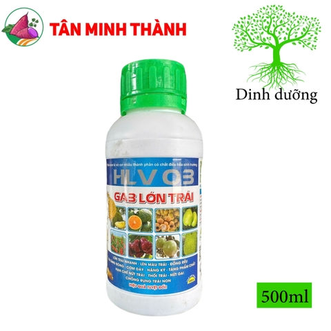 Ga3 Lớn Trái HLV 03 - Thuốc to trái, lên màu, nặng ký, cơm dầy