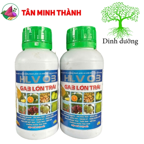 Ga3 Lớn Trái HLV 03 - Thuốc to trái, lên màu, nặng ký, cơm dầy