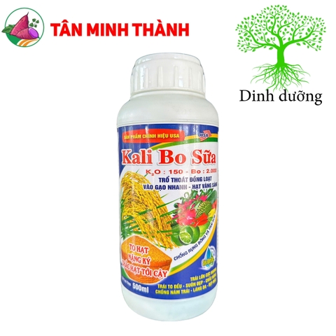 Kali Bo Sữa Lino AA - Thuốc vô gạo, sáng hạt, trổ đồng loạt