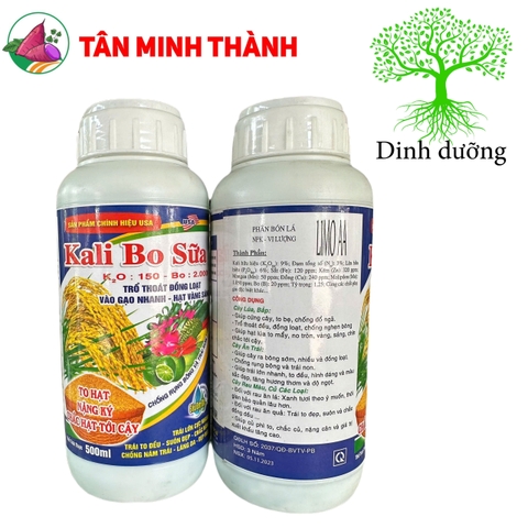 Kali Bo Sữa Lino AA - Thuốc vô gạo, sáng hạt, trổ đồng loạt