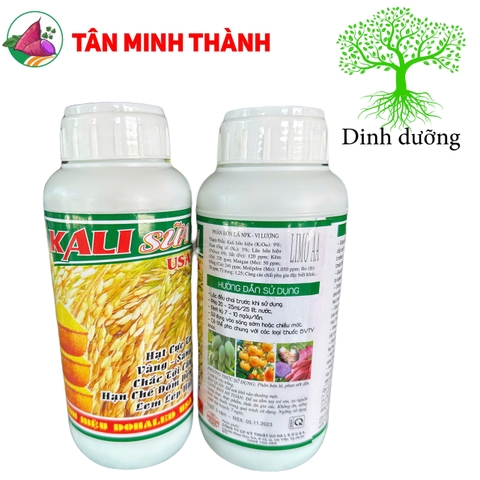 Kali Sữa USA - Thuốc to hạt, vàng, sáng hạt, chắc tới cậy, lem lép hạt