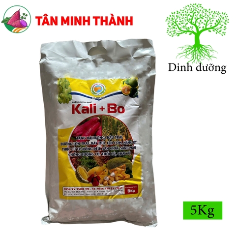 Kali Sulphat Kali Bo - Thuốc lên cơm, nặng ký, to củ, lên màu