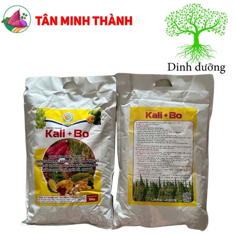 Kali Sulphat Kali Bo - Thuốc lên cơm, nặng ký, to củ, lên màu