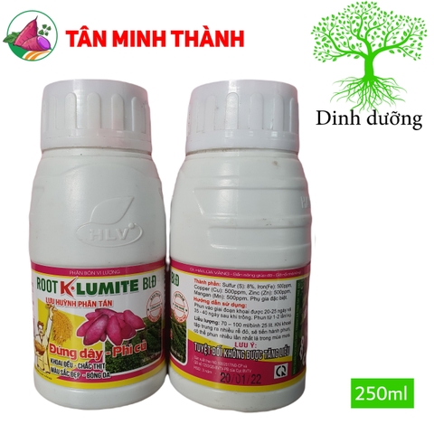 Root KLumite BLĐ Khoai Lang - Thuốc đứng dây, phì củ, to củ đều, chắc thịt, bóng da, đẹp màu