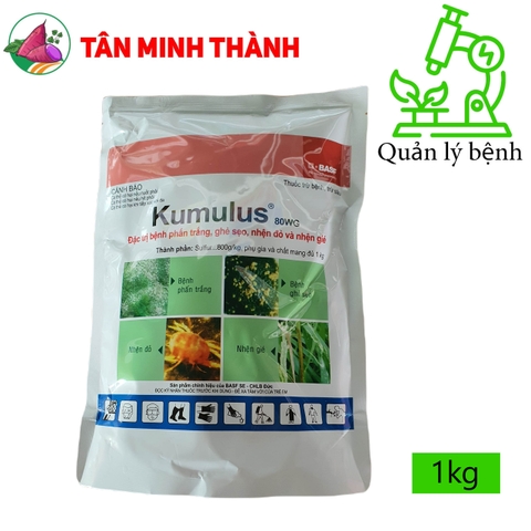 Kumulus 80WG - Thuốc đặc trị ghẻ sẹo, nhện đỏ, nhện gié, phấn trắng