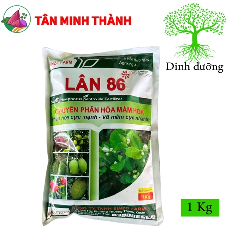 Lân 86 Agriking 4 - Thuốc phân hóa mầm hoa, ra hoa nghịch vụ