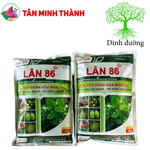 Lân 86 Agriking 4 - Thuốc phân hóa mầm hoa, ra hoa nghịch vụ