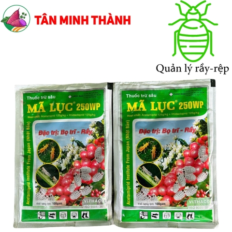 Mã Lục 250WP - Thuốc đặc trị bọ trĩ, rầy nâu, rầy xanh, rệp sáp