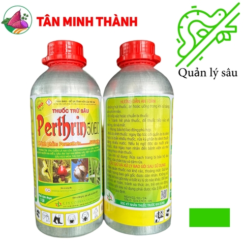 Perthrin 50EC - Thuốc đặc trị sâu cuốn lá, sâu khoang, bọ xít muỗi, sâu ăn tạp, rệp sáp, sâu keo mùa thu