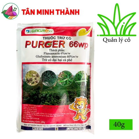 PURGER 66WP - Thuốc cỏ lưu dẫn, không chọn lọc, thuốc cỏ khai hoang