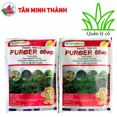 PURGER 66WP - Thuốc cỏ lưu dẫn, không chọn lọc, thuốc cỏ khai hoang