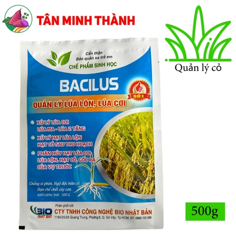 Quản lý lúa lộn - Thuốc trừ lúa cỏ, lúa cơi, lúa 2 tầng, lúa von