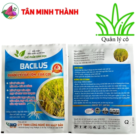 Quản lý lúa lộn - Thuốc trừ lúa cỏ, lúa cơi, lúa 2 tầng, lúa von