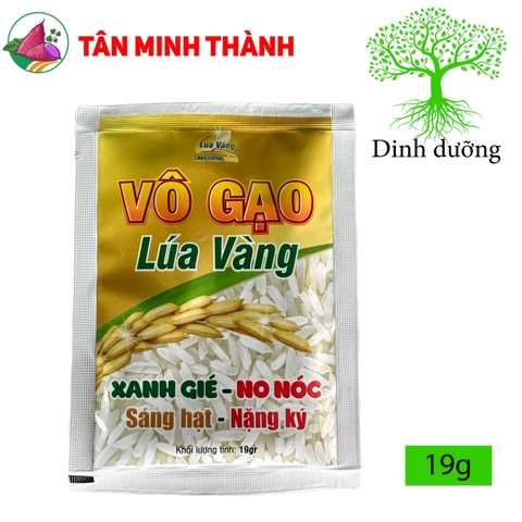Vô Gạo Lúa Vàng - Thuốc siêu to hạt, xanh lá đồng, sáng hạt, nặng ký