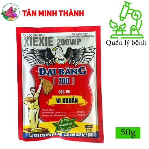 Xiexie 200SL Đại Bàng - Thuốc đặc trị vi khuẩn gây cháy bìa lá, bạc lá, cháy lá, thối nhũn, héo xanh, thối củ