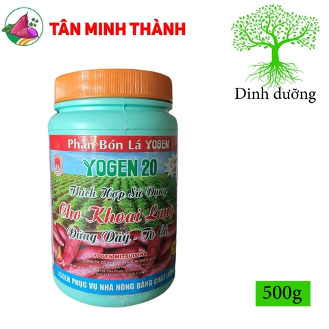 Yogen 20 Khoai Lang - Thuốc dứng dây, to củ, lớn phì củ nhanh, nặng ký, lên màu