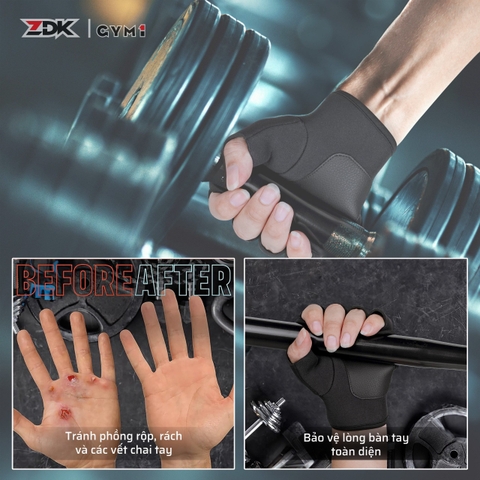 ZDK GYM1