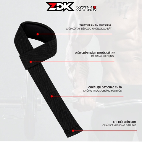 ZDK GYM3
