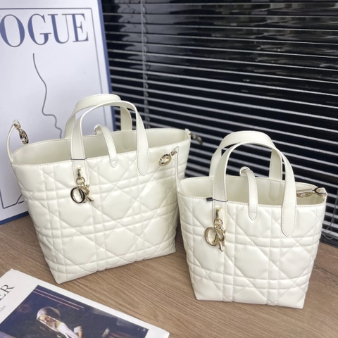 Túi Xách Dior Medium Toujours Remake Hàn Size 16 cm