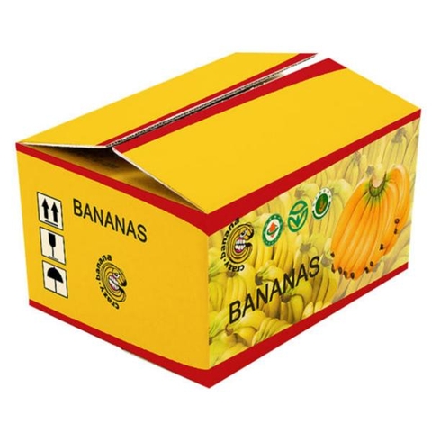 Thùng carton in offset( SP03)