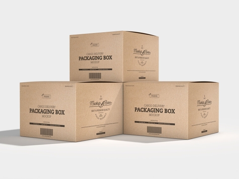 Thùng carton in flexo ( SP02)