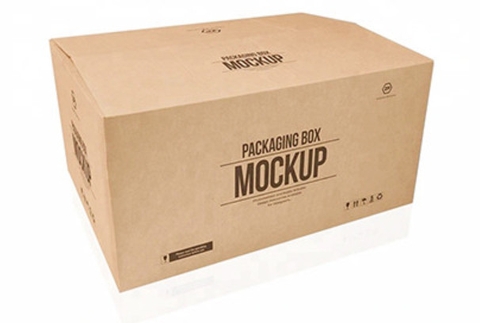 Thùng carton in flexo (SP01)