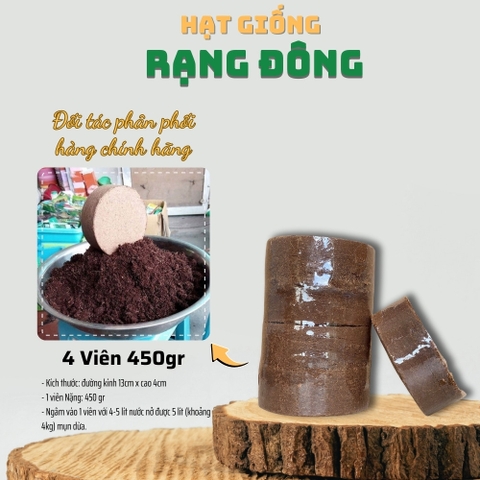 4 Bánh mụn dừa tròn