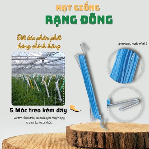 Móc thép kèm dây treo dây leo - 5 cái