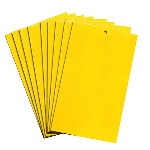Miếng dán côn trùng
