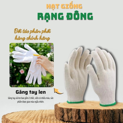 Bao Tay Len 1 cặp
