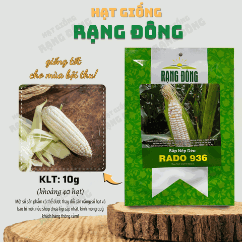 Hạt giống Bắp Nếp Dẻo Trắng